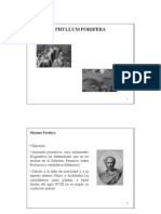 Phylum Porifera PDF