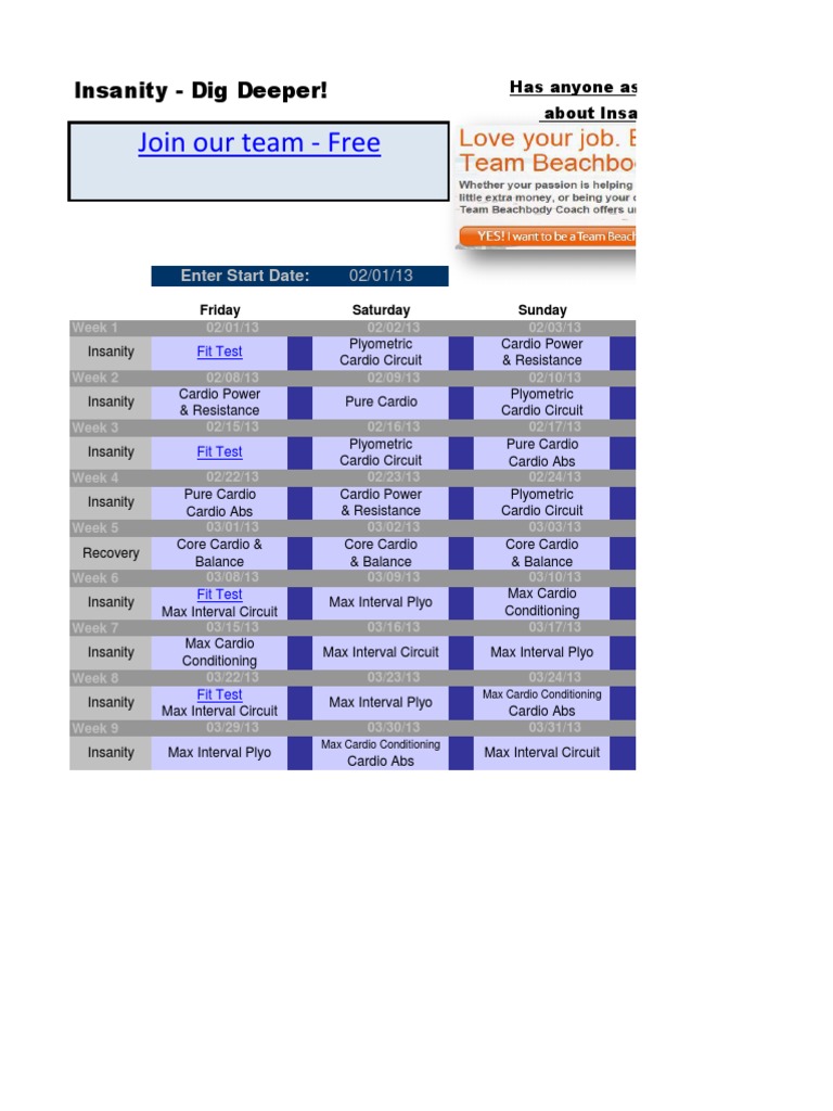 Insanity Workout Schedule Excel