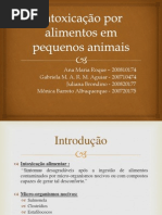 Intoxicação por alimentos em pequenos animais - apresentação