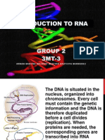 Introduction to Rna