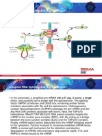 Coupled Rna Splicing