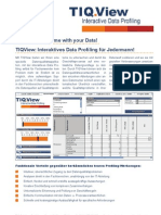 TIQView - Interaktives Data Profiling für Jedermann