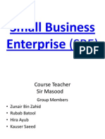 Small Business Enterprise (SBE)