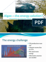 Algae - The Energy Solution?