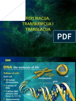 Replikacija, Transkripcija, Translacija