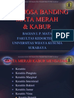 Kp Mata Merah & Kabur 2011