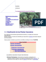 Morfologia de Plantas Vasculares