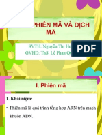 Phien Ma