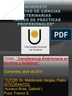 Transferencia Embrionaria