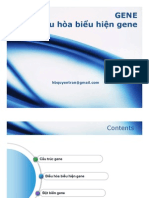 Print U3 Gene