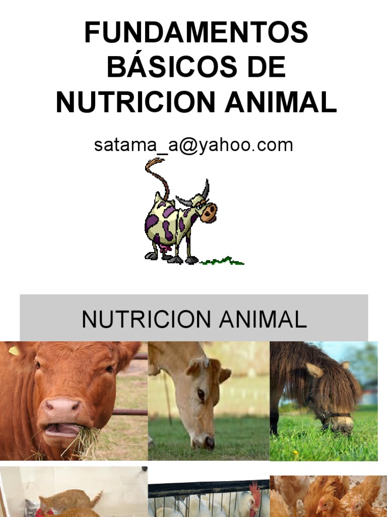 Fundamentos Básicos de Nutricion Animal | PDF | Rumiante | Digestión