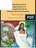 Lineamientos Organización Consejo Técnico Escolar