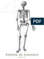 Sebenta de Anatomia - Parte 5