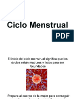 Ciclo Menstrual