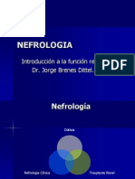 nefrologia.ppt