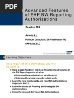 Advanced Features of SAP BW Reporting Authorizations