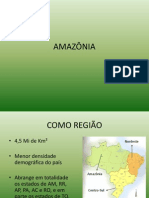 Geopolitica Da Amazonia
