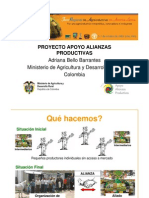 Proyecto Apoyo Alianzas Productivas