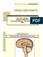 Bulbo y Protuberancia