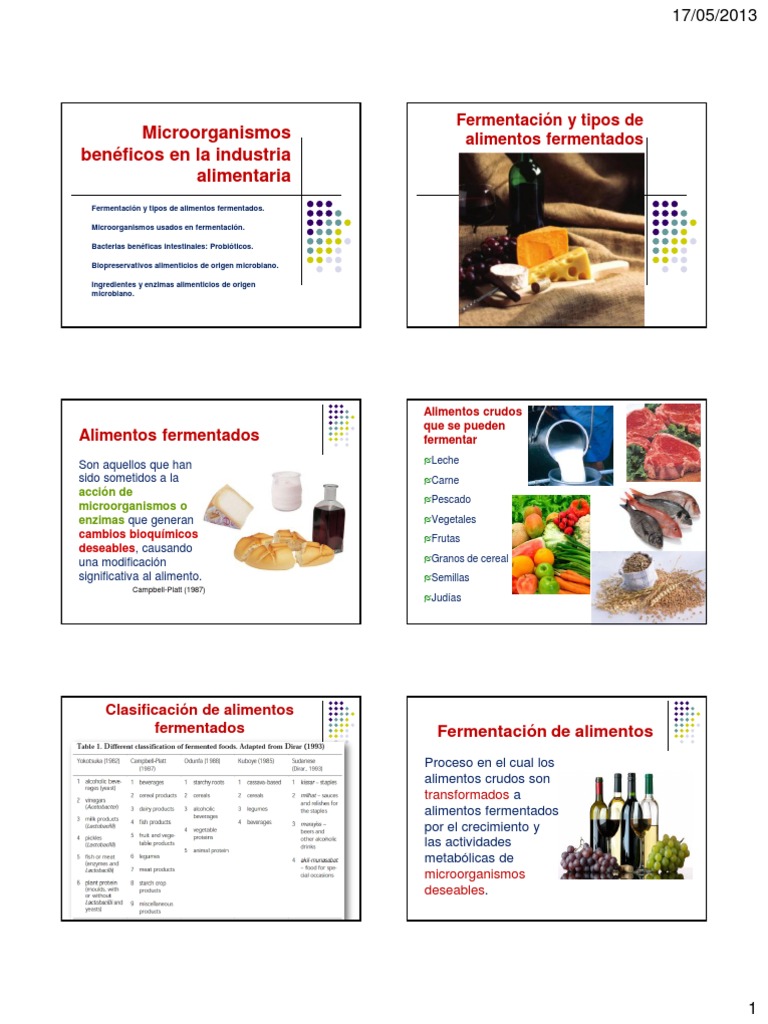Microorganismos en Alimentos Fermentados | PDF | Fermentación | Alimentos