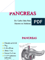 Pancreas Anatomia Salas