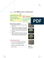 Manual Lab Ncert