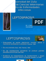 clase leptosp 09