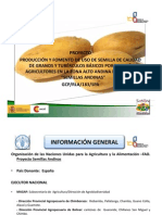 Producción y Uso de Semilla de Calidad de Papa en Agricultura Familiar Campesina