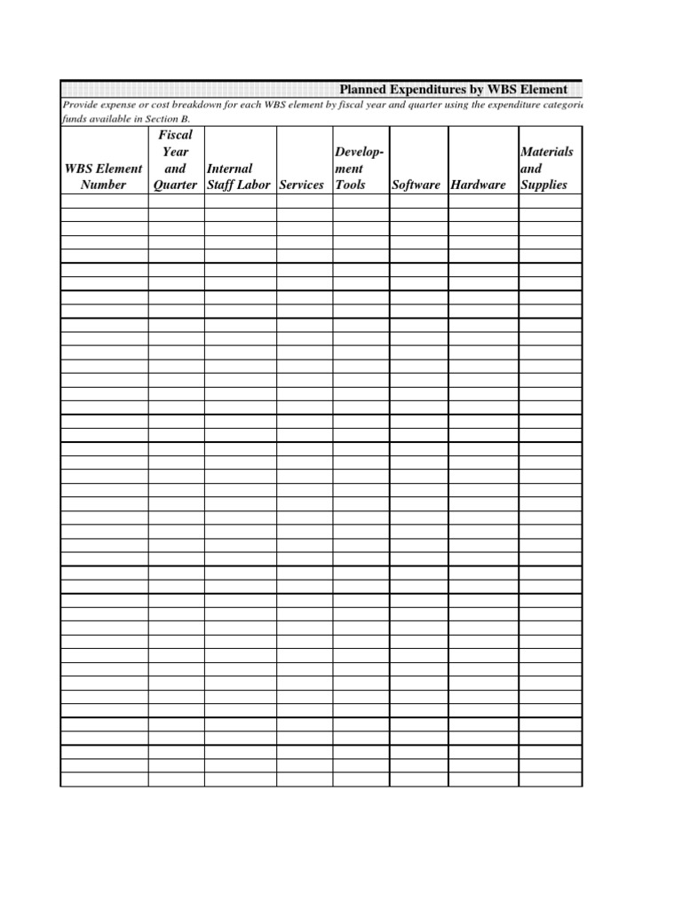 WBS Budget Plan Overview | PDF