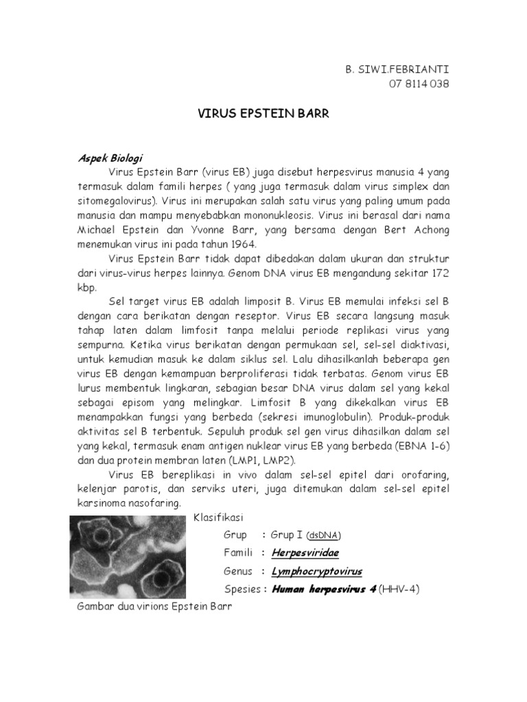 Biologi dan Patogenesis Virus Epstein Barr | PDF | Sains & Matematika