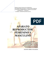 Aparatos Reproductores Femenino y Masculino