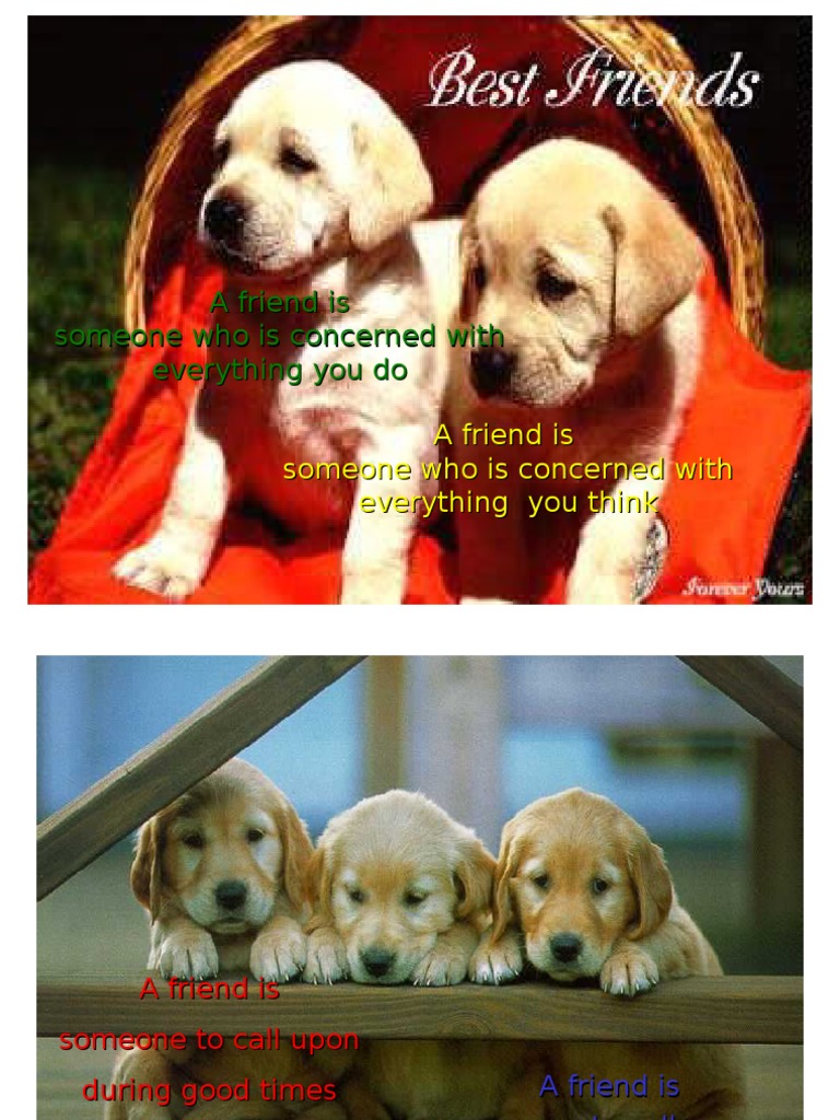 The Essence of True Friendship | PDF | Self-Improvement