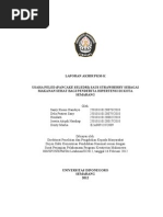 Download Pkmk 12 Santy Usaha Pancake Seledri by Alam Nuanza SN157535589 doc pdf