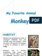 My Favorite Animal MONKEYS