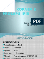 Ulkus Kornea & Prolaps Iris