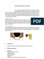 INFORME PRACTICA 8 - FERMENTACIÓN ALCOHÓLICA EN LEVADURAS