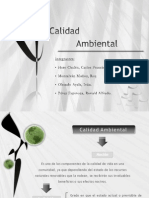 Calidad_ambiental . Diapos