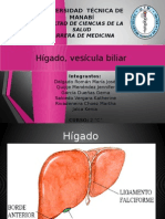 Higado y Vesicula Biliar