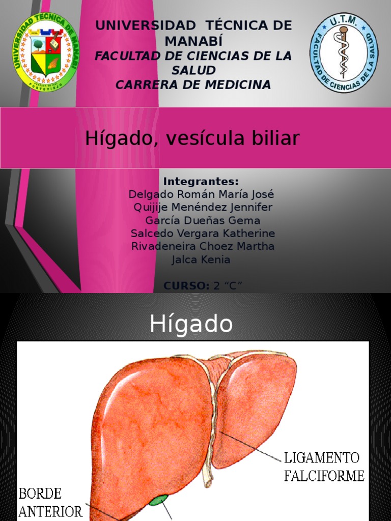 Higado y Vesicula Biliar | PDF | Hígado | Vesícula biliar