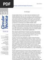 Sorgo Na Alimentao Humana