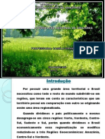 A Região Brasileira da Amazônia: Características Físicas e Econômicas