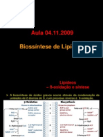 biossintese_lipideos
