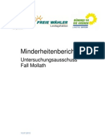 Minderheitenbericht U-Ausschuss Mollath 10.07.2013