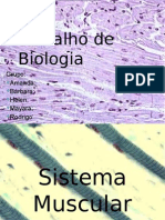 Trabalho de Biologia