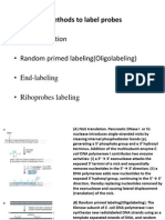 Probe Labeling1