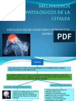 mecanismosfisiopatologicosdelacefalea-121108234217-phpapp01