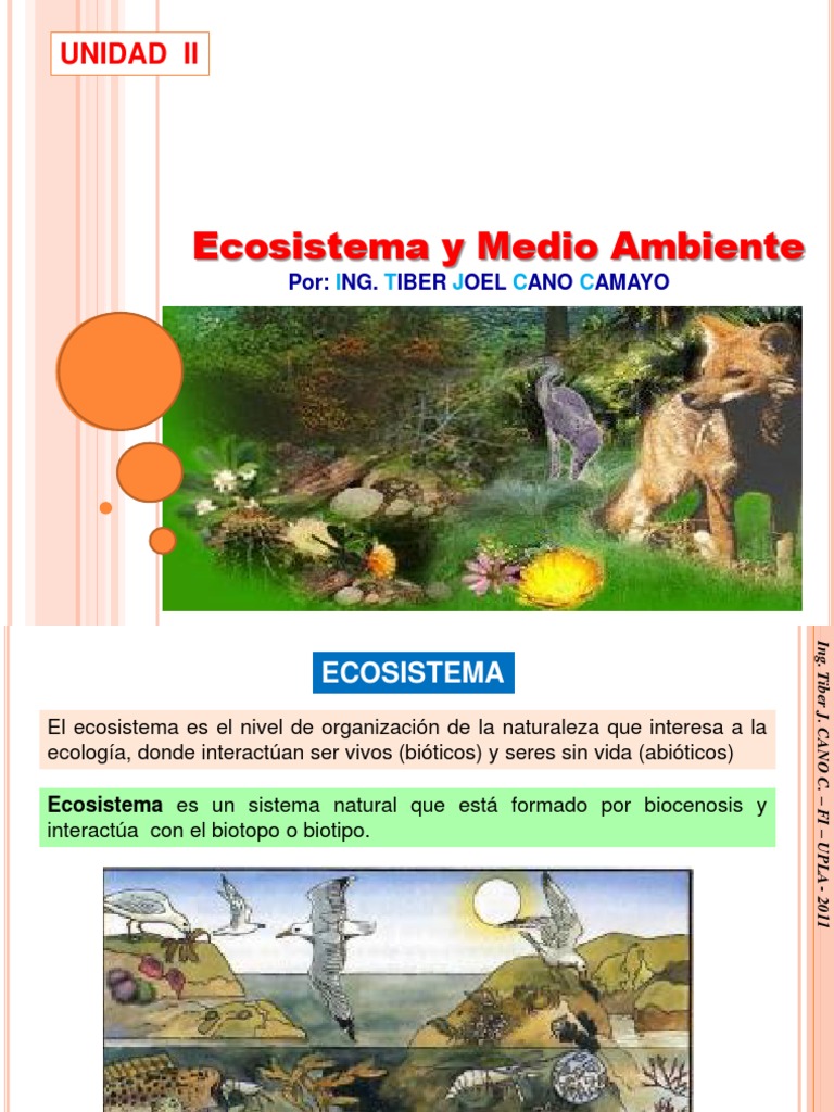Ecologia y Ecosistemas Capitulo II | PDF | Ecosistema | Clima