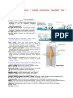 Posiciones anatómicas planos esqueleto