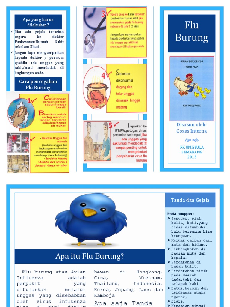 Flu flyer