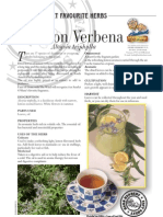 Lemon Verbena: ERB Erbert Favourite Herbs